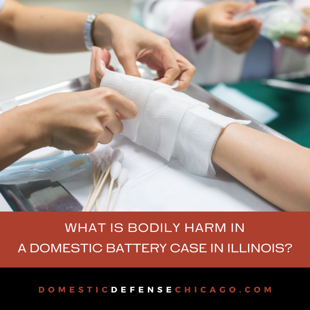 What is Bodily Harm in a DV Case?