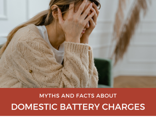 Domestic Battery Charges: Myths and Facts You Need to Know