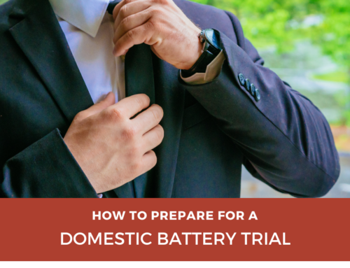 How to Prepare for a Domestic Battery Trial