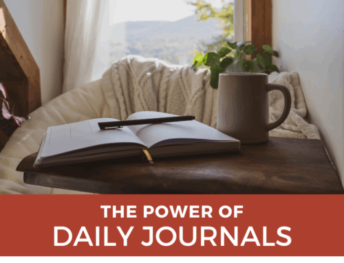 The Surprise Power of Witness Logs and Daily Journals